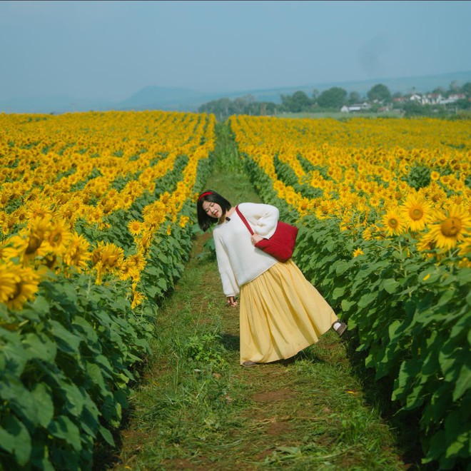 Nơi được quan tâm nhất lúc này ở Nghệ An: Cảnh như nước ngoài, mở cửa miễn phí nhưng có lưu ý đặc biệt - Ảnh 16.