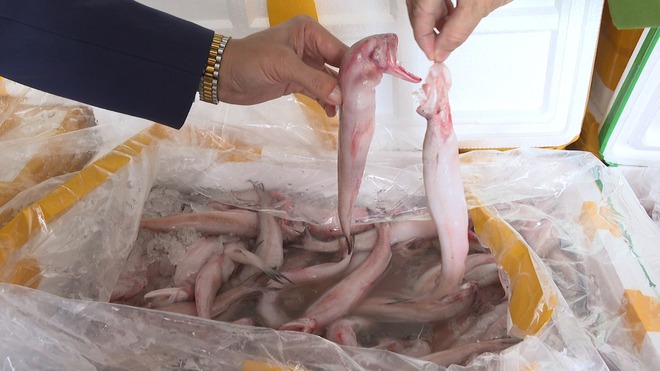 Cách nhận biết cá ngâm hoá chất formol nguy hiểm: Đơn giản nhưng nhiều người bỏ qua - Ảnh 2.