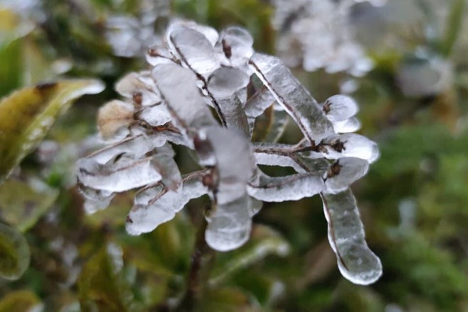 Ngoài Fansipan, đây là nơi lạnh không kém ở miền Bắc hôm nay: Cũng là núi, nhiều năm có băng giá, tuyết - Ảnh 10.