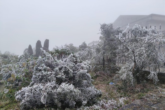 Ngoài Fansipan, đây là nơi lạnh không kém ở miền Bắc hôm nay: Cũng là núi, nhiều năm có băng giá, tuyết - Ảnh 11.