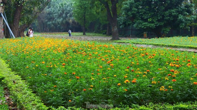 Công viên Thống Nhất - biểu tượng khát vọng hòa bình và thống nhất - Ảnh 6.