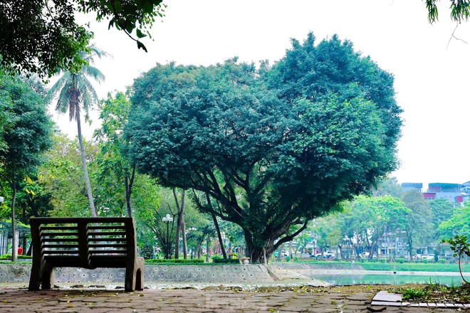 Công viên Thống Nhất - biểu tượng khát vọng hòa bình và thống nhất - Ảnh 7.