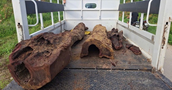 Số gỗ nghi sưa đỏ khoảng 300kg được cơ quan chức năng thu giữ, chờ hướng xử lý.

