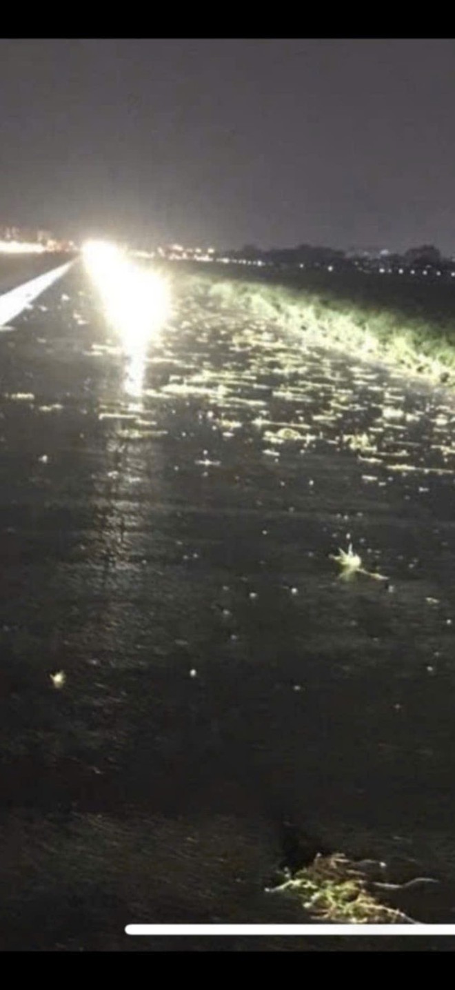 Nghi vấn máy bay VJ1149 trượt khỏi đường băng Tân Sơn Nhất khi hạ cánh - Ảnh 1.