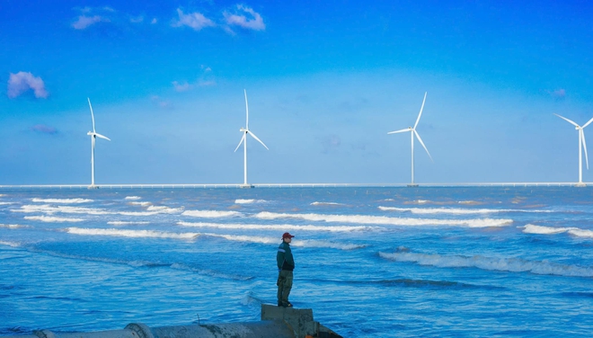 Phát hiện bãi biển hiếm có cùng cảnh quan đặc biệt nhưng chưa nhiều người biết, cách TP.HCM 200km - Ảnh 7.