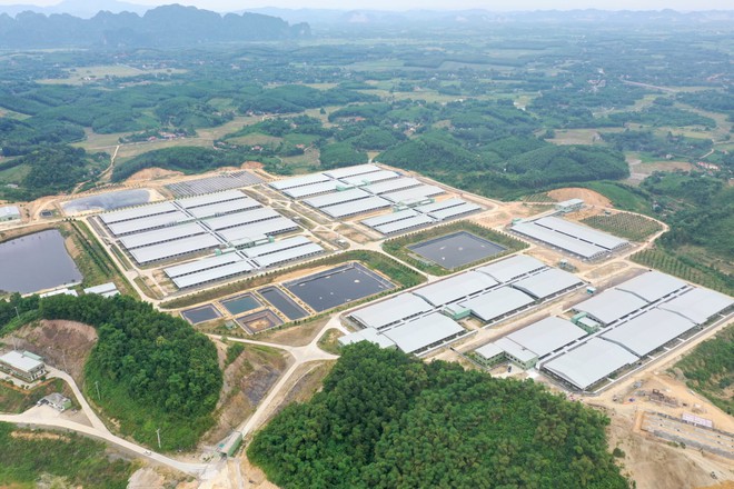 Rót 50.000 tỷ vào "mỏ vàng xanh", một Tập đoàn Xuân Thiện tuyên bố: Thế giới có gì - Việt Nam có đó! - Ảnh 2.