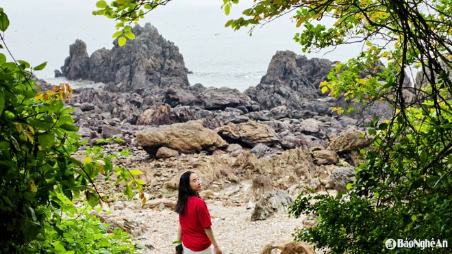 Phát hiện hòn đảo được ví là "hòn ngọc xanh" ngay ở Cửa Lò, du khách nhận xét: Không nghĩ đẹp đến vậy! - Ảnh 6.