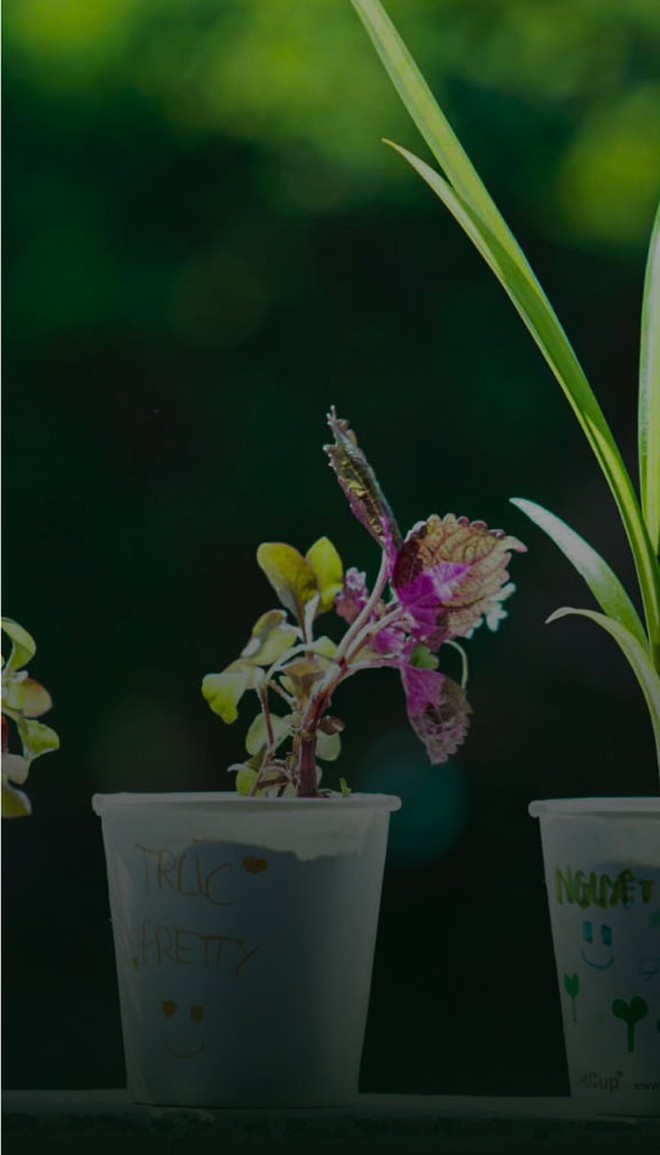 Khu nghỉ dưỡng đầu tiên ở Việt Nam không có thứ này nhưng được ca ngợi hết lời, mở đầu cho xu hướng mới - Ảnh 2.