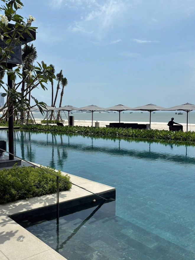 - Ảnh 6. - Ảnh 6.