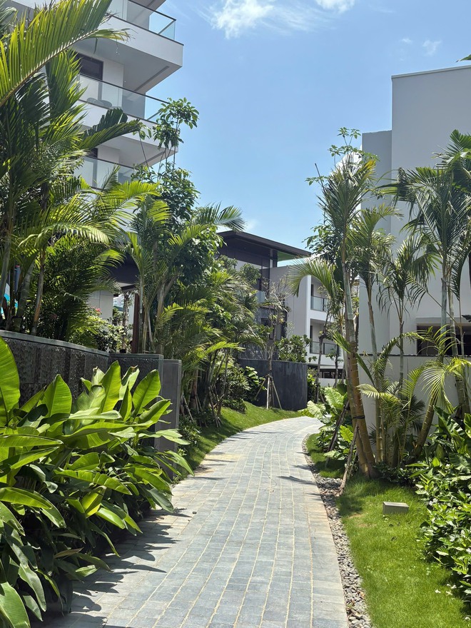 - Ảnh 2. - Ảnh 2.