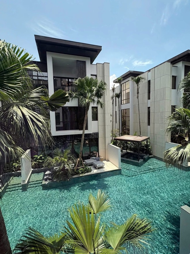 - Ảnh 1. - Ảnh 1.