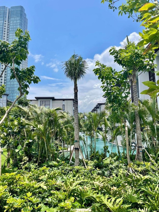 - Ảnh 3. - Ảnh 3.