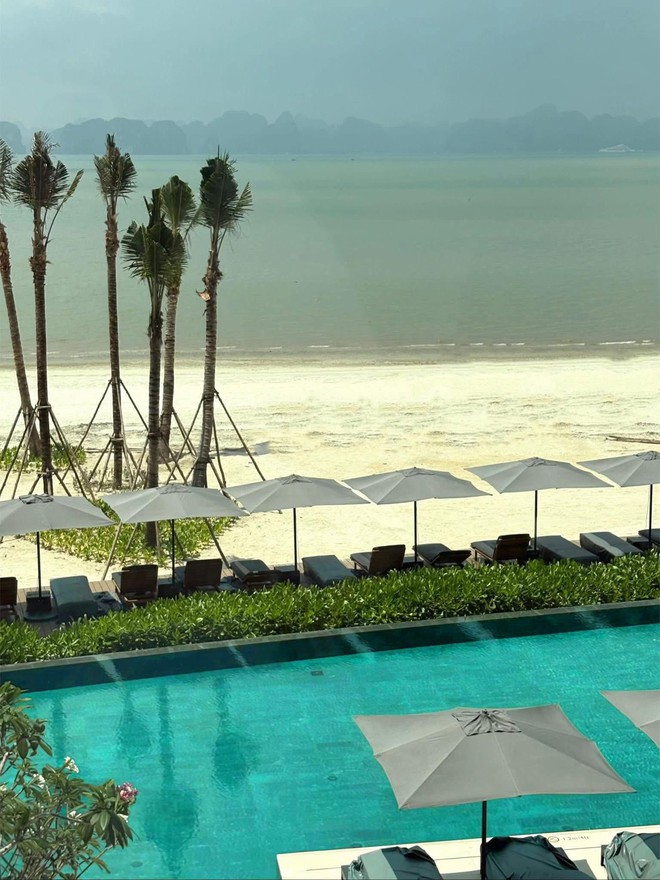 - Ảnh 5. - Ảnh 5.