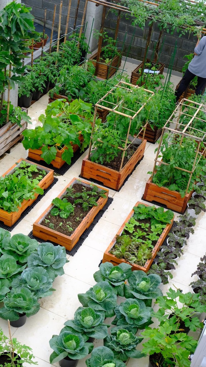 Mê mẩn khu vườn sân thượng đẹp 'như vẽ bằng AI' của mẹ đảm Đà Nẵng - Ảnh 7.