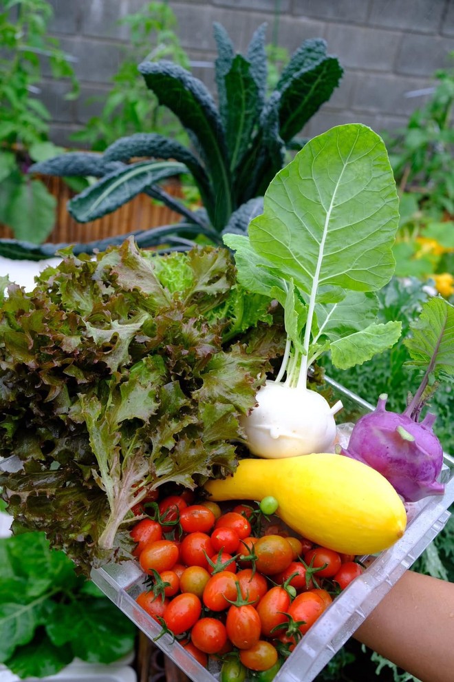 Mê mẩn khu vườn sân thượng đẹp 'như vẽ bằng AI' của mẹ đảm Đà Nẵng - Ảnh 4.