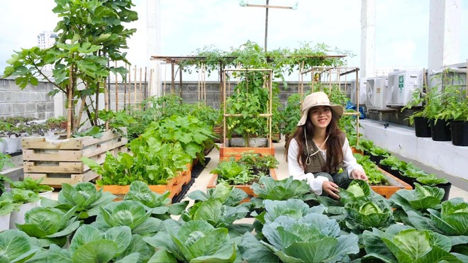 Mê mẩn khu vườn sân thượng đẹp 'như vẽ bằng AI' của mẹ đảm Đà Nẵng - Ảnh 2.