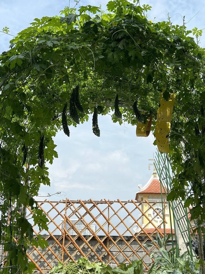 Mê mẩn khu vườn sân thượng đẹp 'như vẽ bằng AI' của mẹ đảm Đà Nẵng - Ảnh 36.