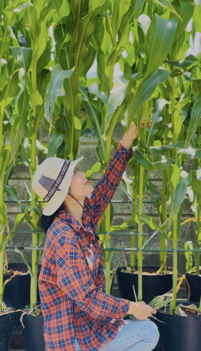 Mê mẩn khu vườn sân thượng đẹp 'như vẽ bằng AI' của mẹ đảm Đà Nẵng - Ảnh 23.