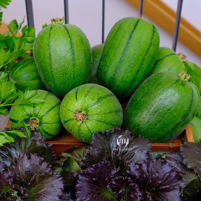 Mê mẩn khu vườn sân thượng đẹp 'như vẽ bằng AI' của mẹ đảm Đà Nẵng - Ảnh 27.