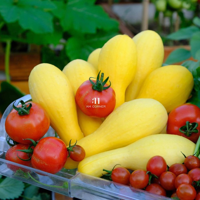 Mê mẩn khu vườn sân thượng đẹp 'như vẽ bằng AI' của mẹ đảm Đà Nẵng - Ảnh 26.