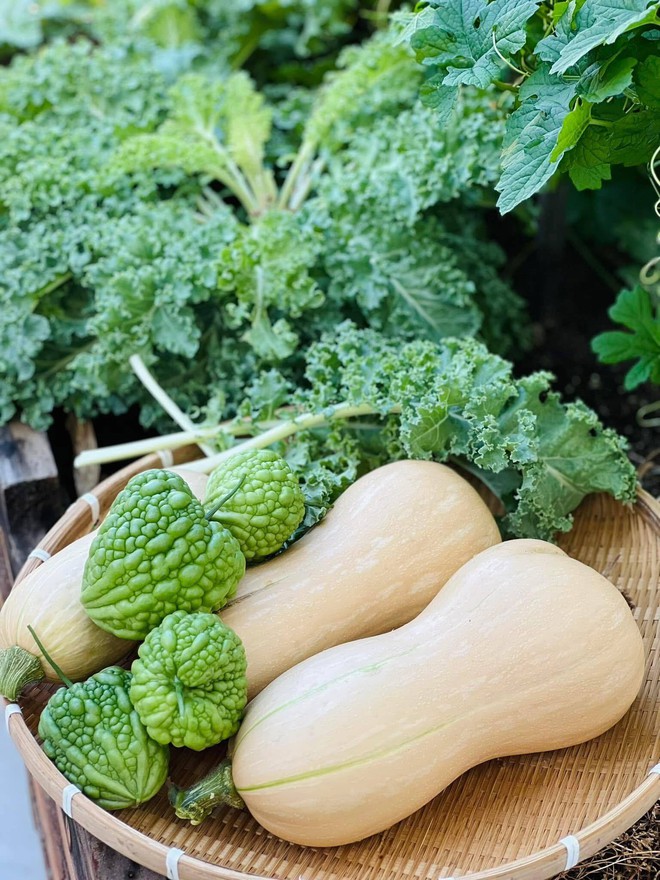 Mê mẩn khu vườn sân thượng đẹp 'như vẽ bằng AI' của mẹ đảm Đà Nẵng - Ảnh 30.