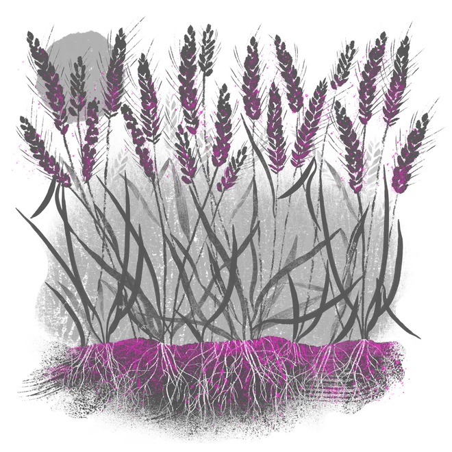 VI NHỰA "Sát thủ" bung ra trong máy giặt: Nhỏ hơn sợi tóc, mạnh hơn tưởng tượng! - Ảnh 8.