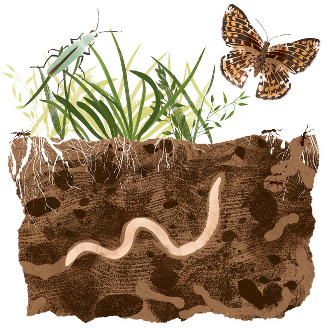 VI NHỰA "Sát thủ" bung ra trong máy giặt: Nhỏ hơn sợi tóc, mạnh hơn tưởng tượng! - Ảnh 3.