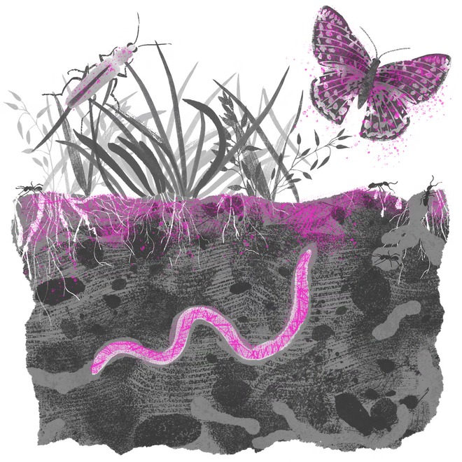 VI NHỰA "Sát thủ" bung ra trong máy giặt: Nhỏ hơn sợi tóc, mạnh hơn tưởng tượng! - Ảnh 4.