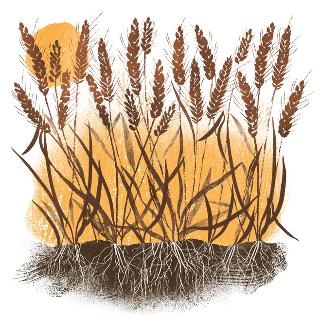 VI NHỰA "Sát thủ" bung ra trong máy giặt: Nhỏ hơn sợi tóc, mạnh hơn tưởng tượng! - Ảnh 7.