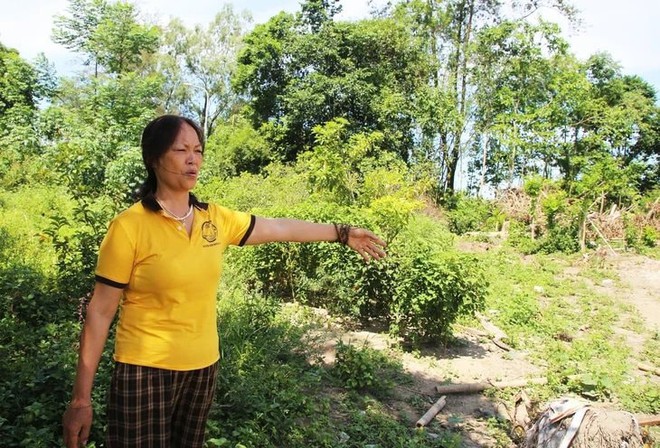 Thửa đất vườn gia đình bà Nguyễn Thị Hồng muốn chuyển đổi mục đích sử dụng sang đất ở. Ảnh: DH