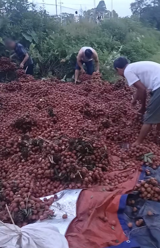 Vụ xe vải lật bị người dân "hôi của": Chủ xe nói "các bác ơi đây là vải của cháu" nhưng không ai quan tâm - Ảnh 1.