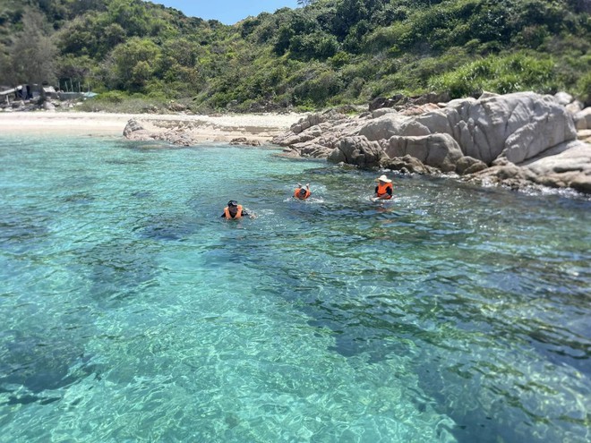 Hòn đảo hoang sơ thuộc tỉnh miền Trung, du khách nhận xét: "Ngỡ ngàng vì nước biển quá xanh!" - Ảnh 8.