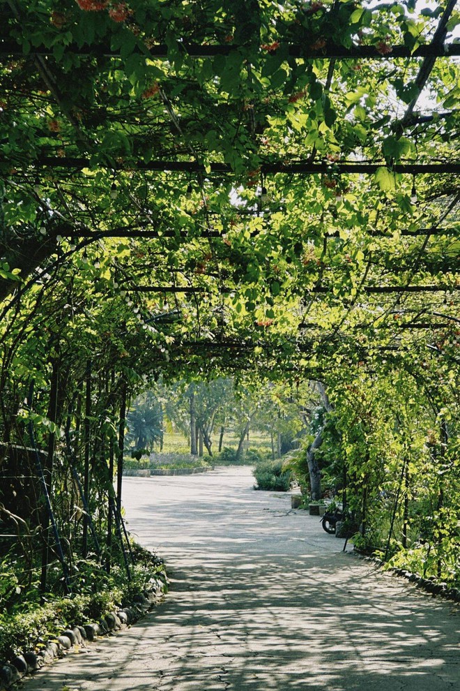 Bãi biển biệt lập cách trung tâm chưa tới 10km, du khách nhận xét: Đúng là biển xanh, cát trắng! - Ảnh 4.