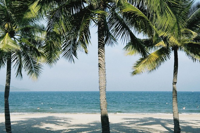 Bãi biển biệt lập cách trung tâm chưa tới 10km, du khách nhận xét: Đúng là biển xanh, cát trắng! - Ảnh 3.