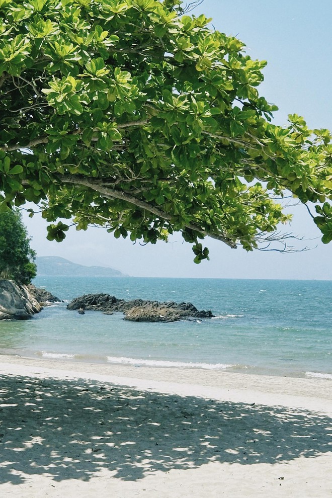 Bãi biển biệt lập cách trung tâm chưa tới 10km, du khách nhận xét: Đúng là biển xanh, cát trắng! - Ảnh 5.
