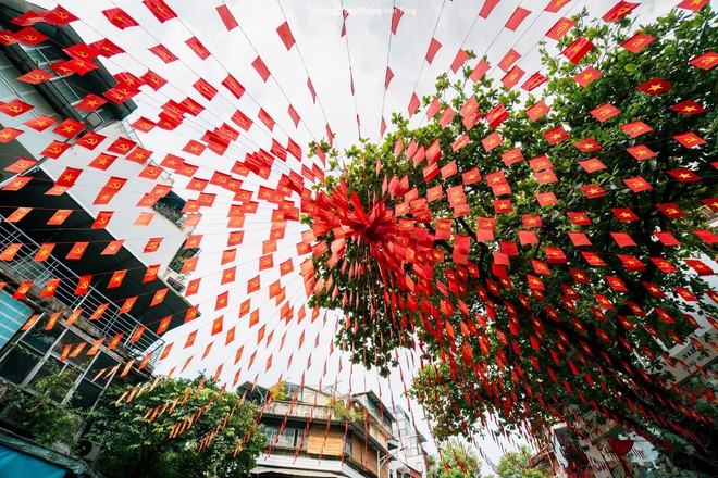 Khách Tây ngạc nhiên khi gặp cảnh tượng trên đường phố Việt Nam, nhận xét: "Tôi thấy nó ở mọi nơi!" - Ảnh 5.