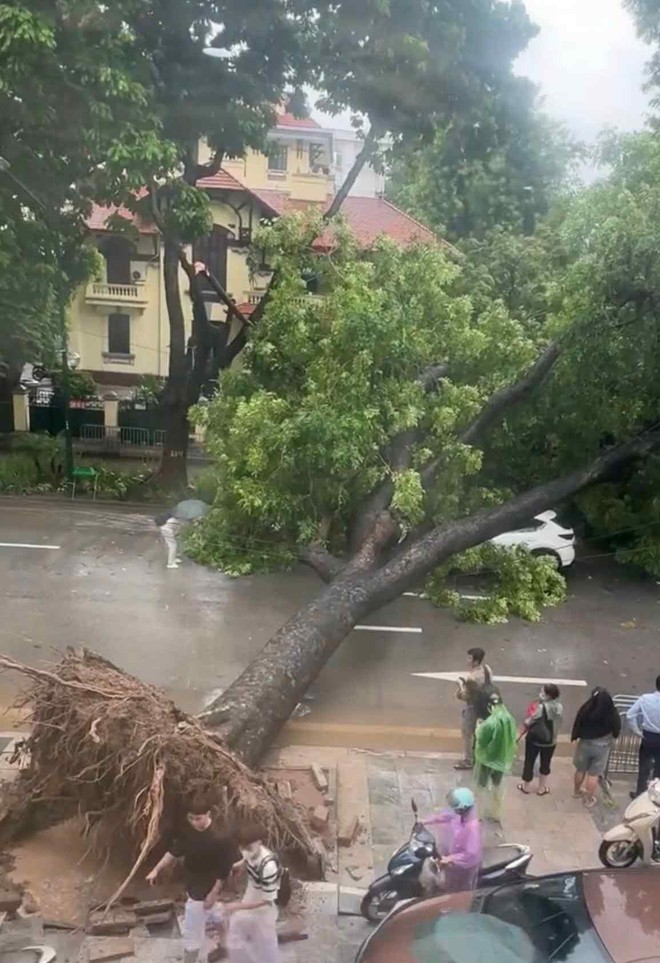 Cập nhật: Hà Nội mưa to, nhiều tuyến đường chìm trong biển nước, cây đổ đè lên ô tô - Ảnh 3.