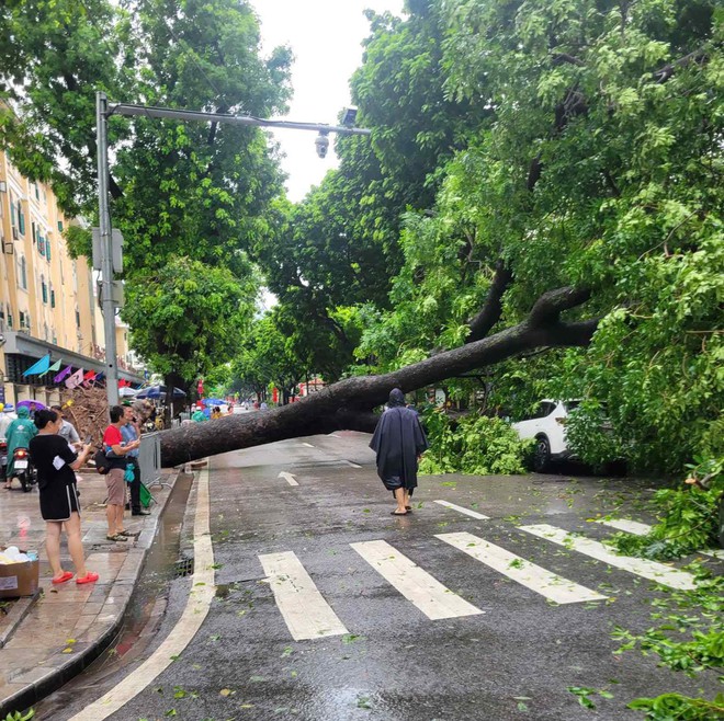 Cập nhật: Hà Nội mưa to, nhiều tuyến đường chìm trong biển nước, cây đổ đè lên ô tô - Ảnh 2.