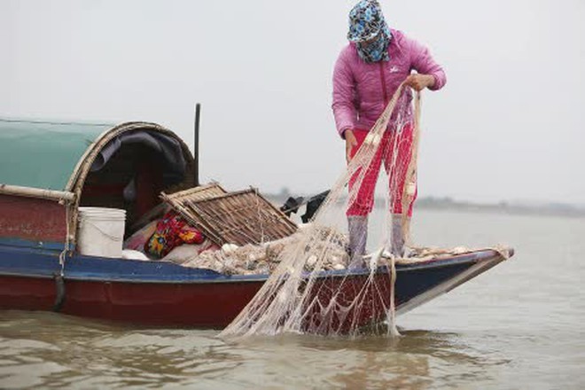 Loại cá được ví như "thuốc bổ từ biển", rẻ hơn cá hồi, cá ngừ nhưng nhiều chất không kém: Thịt béo, dễ nấu - Ảnh 3.