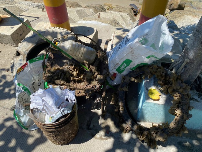 Thu gom 130kg rác dưới đáy biển Cù Lao Chàm - Ảnh 3.