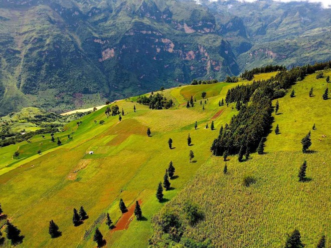 Đỉnh n&uacute;i trong "Top 10 cao nhất Việt Nam", thuộc Ho&agrave;ng Li&ecirc;n Sơn: Vừa c&oacute; b&eacute; 5 tuổi chinh phục th&agrave;nh c&ocirc;ng - Ảnh 10.