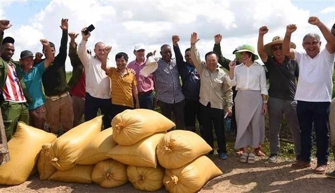 Đại diện Công ty TNHH Agri VMA, cùng các kỹ sư, nông dân, cán bộ Việt Nam và Cuba vui mừng trước năng suất cao của các cánh đồng lúa. Ảnh: TTXVN