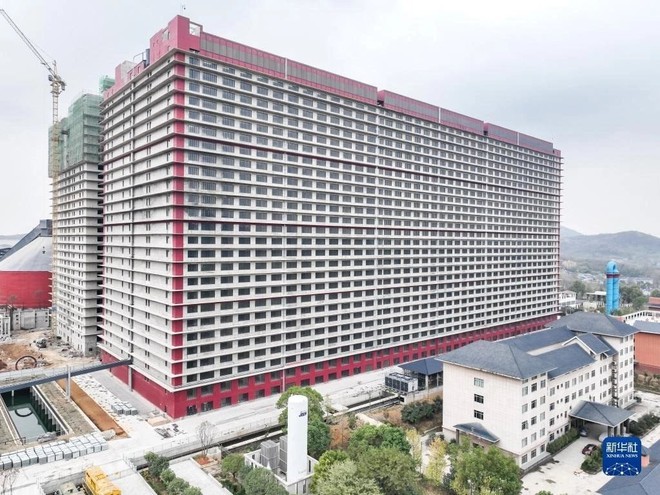 Trang trại chăn nuôi lợn 26 tầng của Công ty Trung Tân Khai Duy ở ngoại ô TP Ngạc Châu, tỉnh Hồ Bắc, miền trung Trung Quốc, ngày 28/10/2022. Ảnh: Xinhua