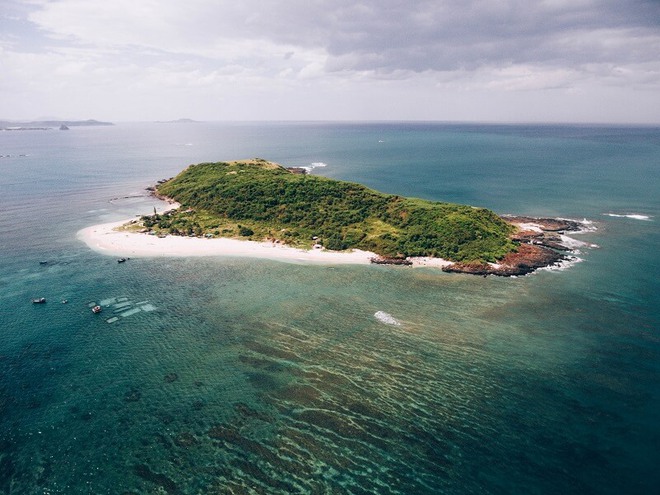 Phát hiện hòn đảo hoang sơ giữa biển miền Trung, không có nhà dân, cảnh thay đổi theo mùa - Ảnh 7.