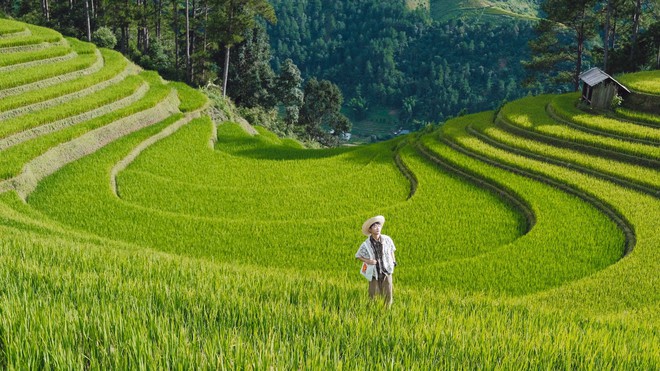 Ngọn đồi ở Mù Cang Chải là điểm ngắm mùa lúa chín siêu thực: Du khách nhận xét "Nhất định phải đến!" - Ảnh 5.