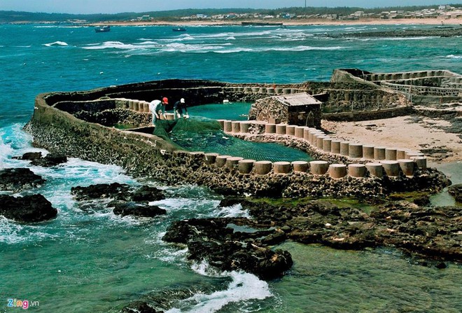 Một đảo miền Trung Việt Nam được vinh danh ngay đầu năm 2026, báo Thái nhận xét: "Đẹp như phim điện ảnh!" - Ảnh 3.