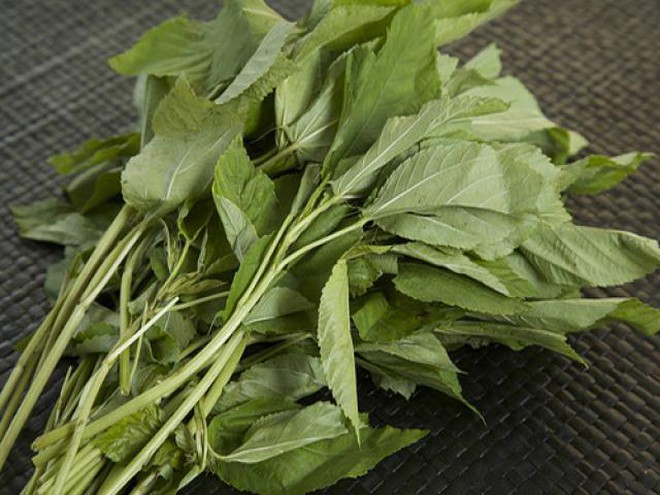 Việt Nam c&oacute; loại rau nhiều sắt hơn thịt b&ograve;: Bổ tim, ngừa ung thư nhưng nhiều người ch&ecirc; kh&ocirc;ng ăn - Ảnh 2.