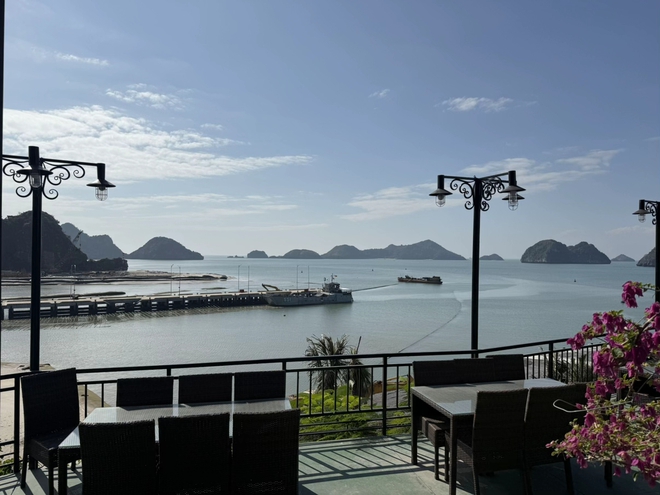 Bãi biển miền Bắc du khách đi mùa đông mà phải thốt lên: "Cứ ngỡ đang ở trời Âu!" - Ảnh 8.