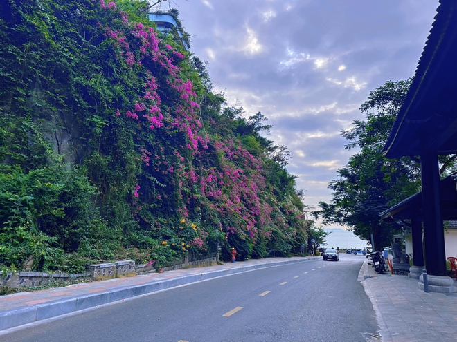 Bãi biển miền Bắc du khách đi mùa đông mà phải thốt lên: "Cứ ngỡ đang ở trời Âu!" - Ảnh 9.