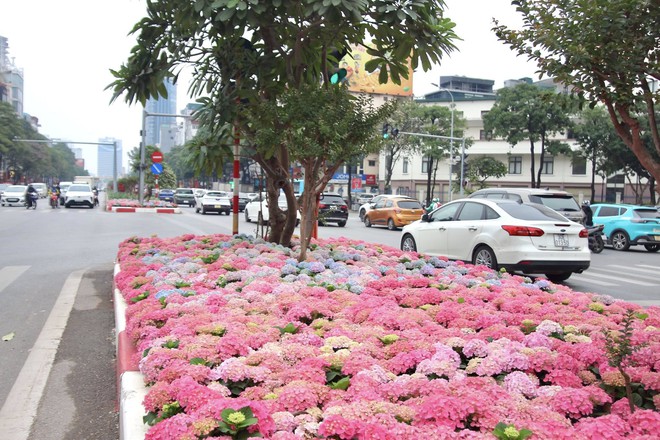 Một góc đường Trần Duy Hưng, Hà Nội gây chú ý - Ảnh 6.